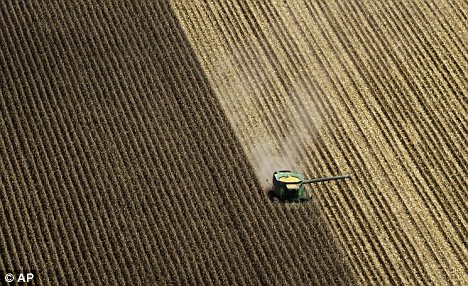 Contentious: A combine harvests corn in a field near Coy, Arkansas. The decision by the Russians to suspend authorisation for the American GM corn threatens to trigger a transatlantic commercial and diplomatic row